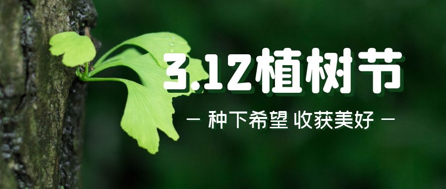 科玛森混凝土输送泵